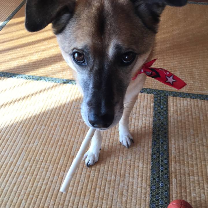 549befc0 c363 4a00 96c5 bfaf862f2831