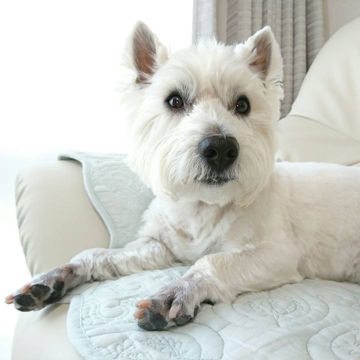 549cb10e a9a3 45ae 85db 5ef50016c4a1