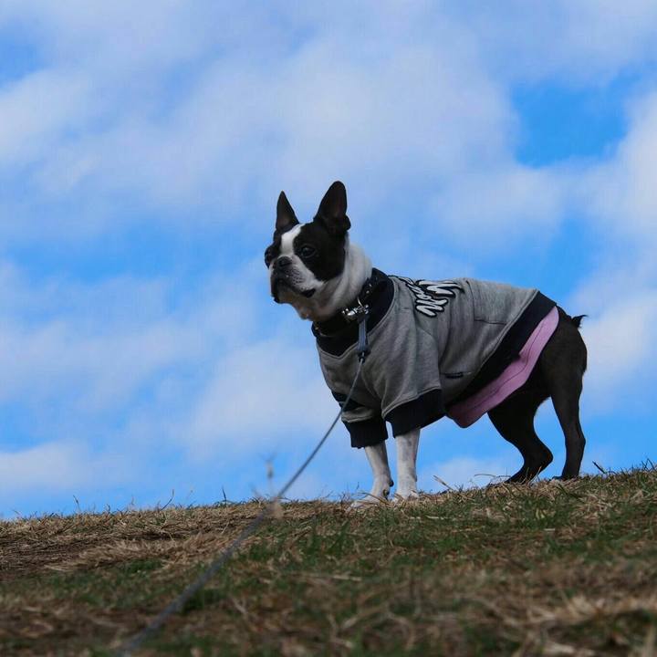 549cb361 c69d 43ef 8661 d6dbe6b5052a