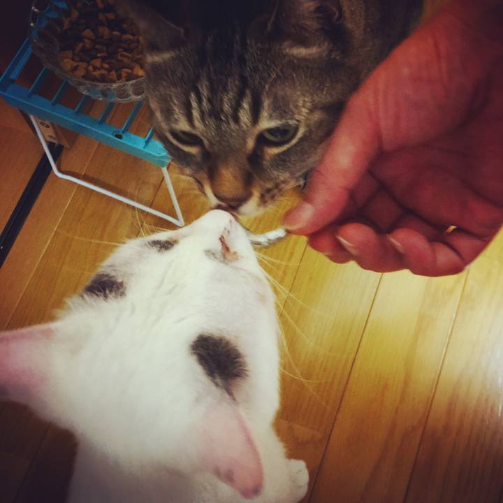 549d44a1 b009 4da1 88c6 6c508abb22ff