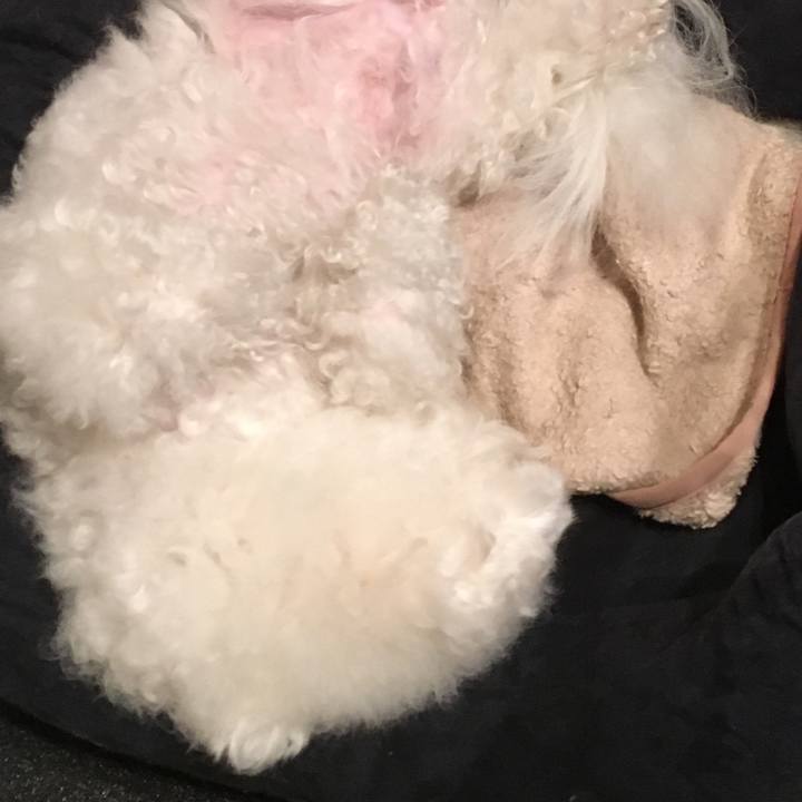 549d4fd5 ad68 416a b74c cbddabe259bd