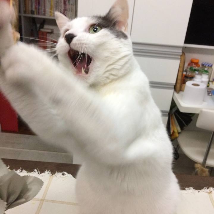 549dbf72 6030 4a05 a455 c6cbc21c6cab