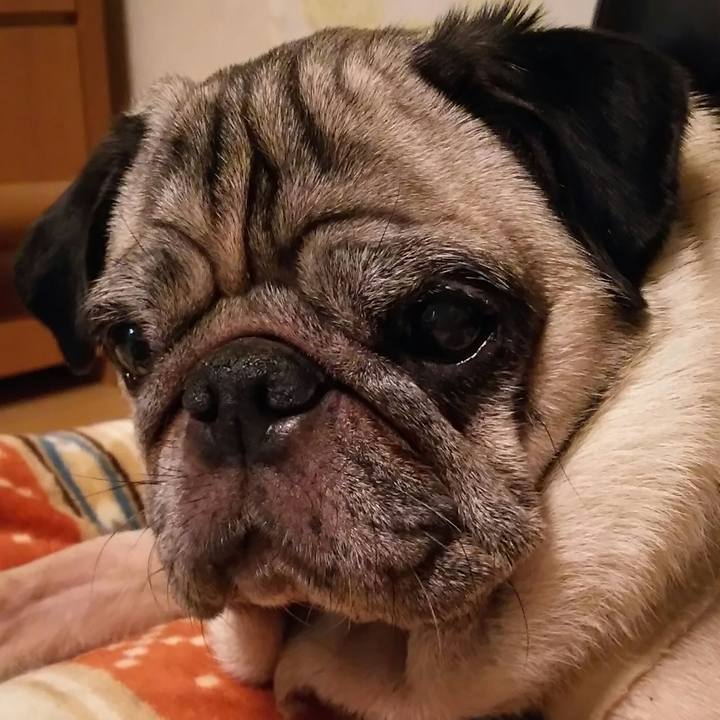 549e14fc 87b9 439c b542 6deaf5a71067