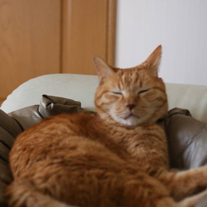 549e1bd4 745e 4f1b aaea 375aef5d5c65