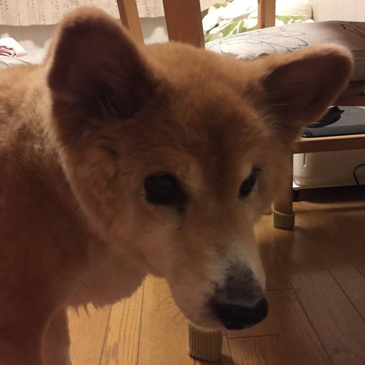 549f20e6 f1a3 4d5e a312 cf88618f938b