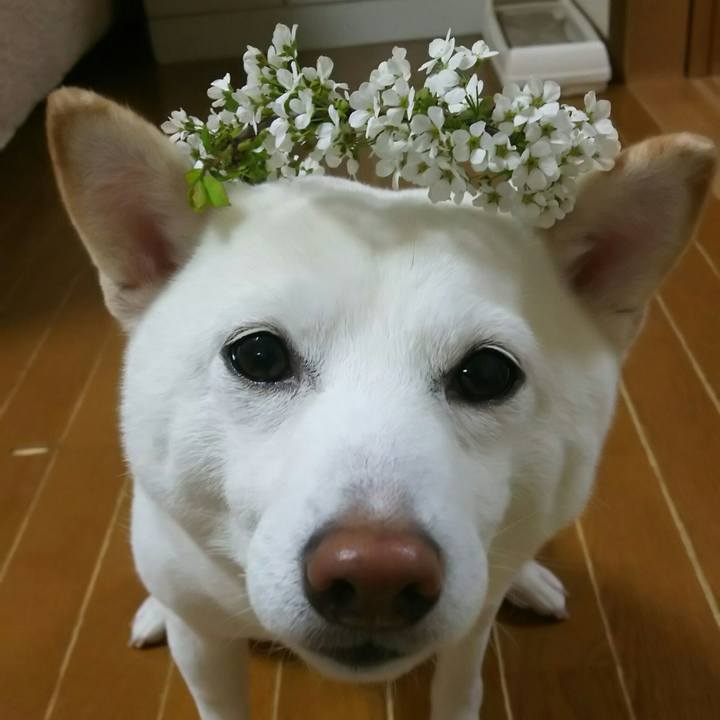 549f2fd0 e473 4f74 ae92 3b72fbafd58c