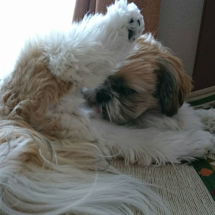 549f7995 c18e 4a7e ba92 9b5117a5e109