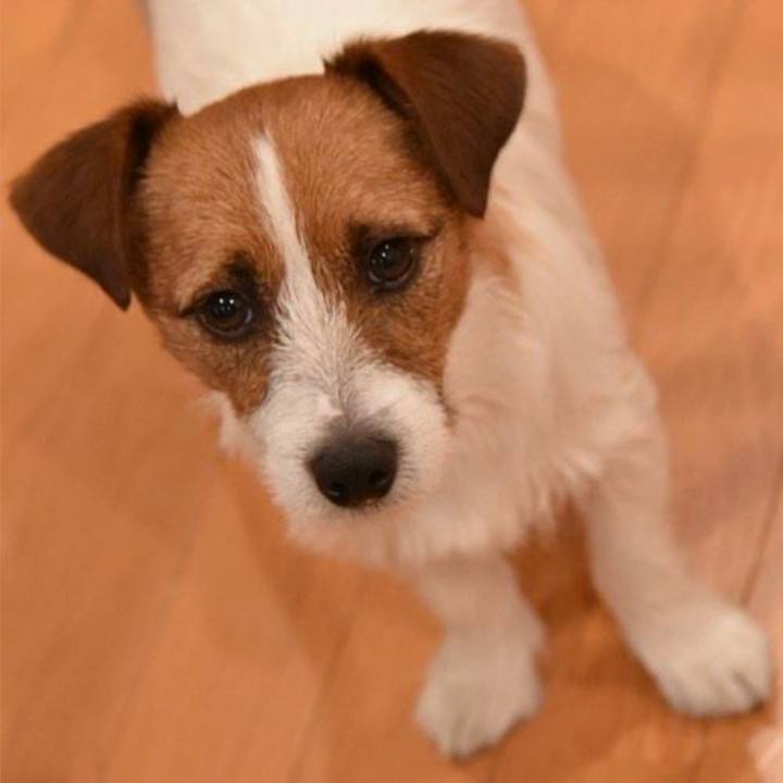 549f7b09 54dc 4c0e 8e49 a759481bbd0b