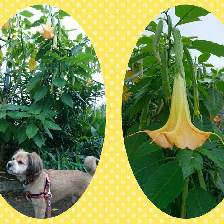 54a0ab2f ebdc 44e3 9d26 6ad3c29ba1d9