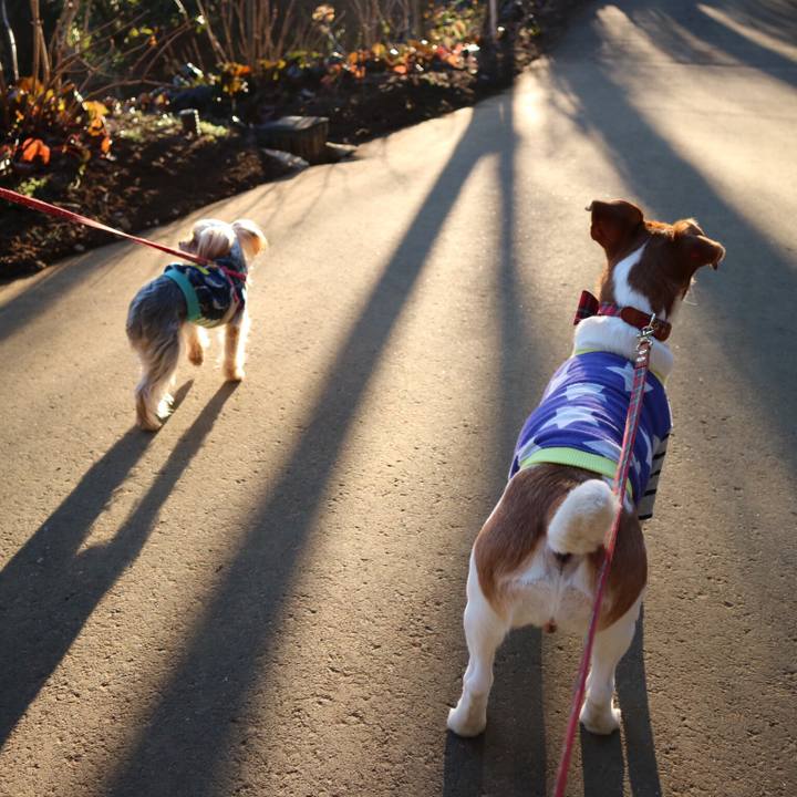 54a0cdbe 4f11 440d 91c2 b78ad9792533