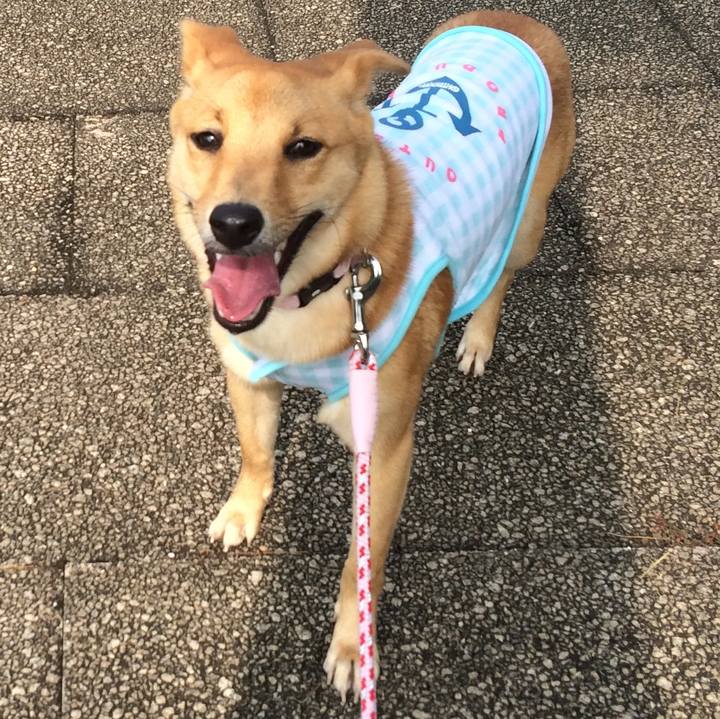 54a10b1f 152d 4c99 ab9c e64db0325727