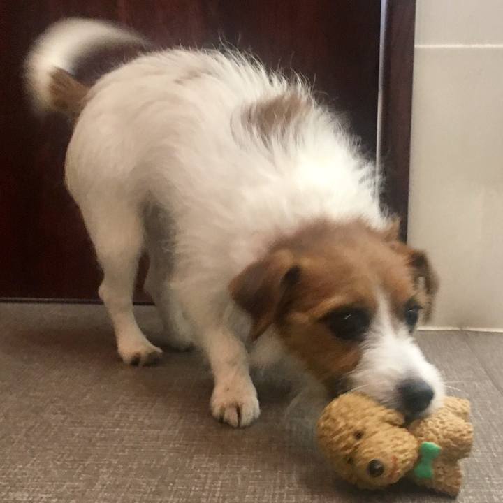 54a149bb 73aa 4ccf a1f1 32242fe74cd1