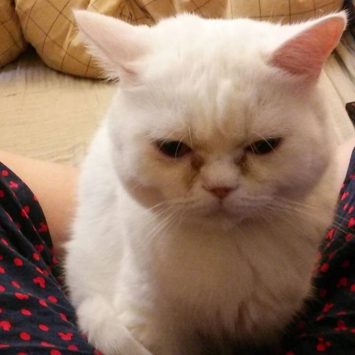 54a1c84c abe5 4e3c 8b85 20d1bd81ed7d