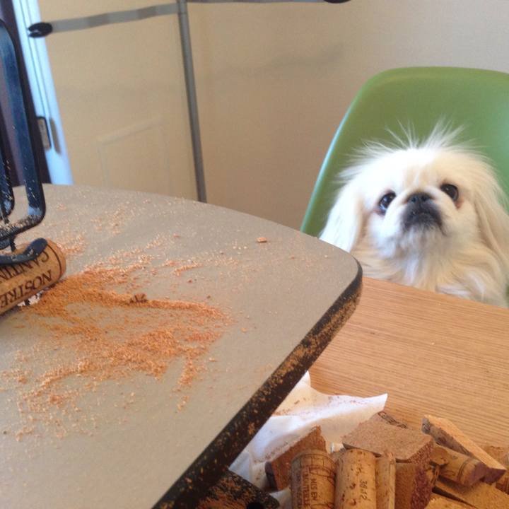 54a249b4 4c65 4a48 a7af 417d32bfaaa4