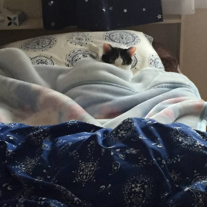 54a3069a 6d05 42be b7df ef3dea9930ce