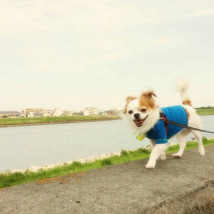 54a32e1a f05a 4cd5 8b82 26956342a16e