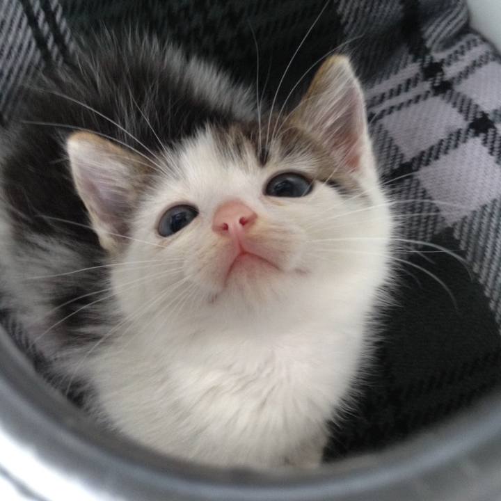 54a40a37 0e8a 4539 80ff 3cd1c72ff6c7