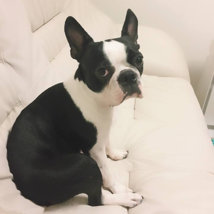 54a489f0 35f9 4333 a998 2f5e8b11ae17