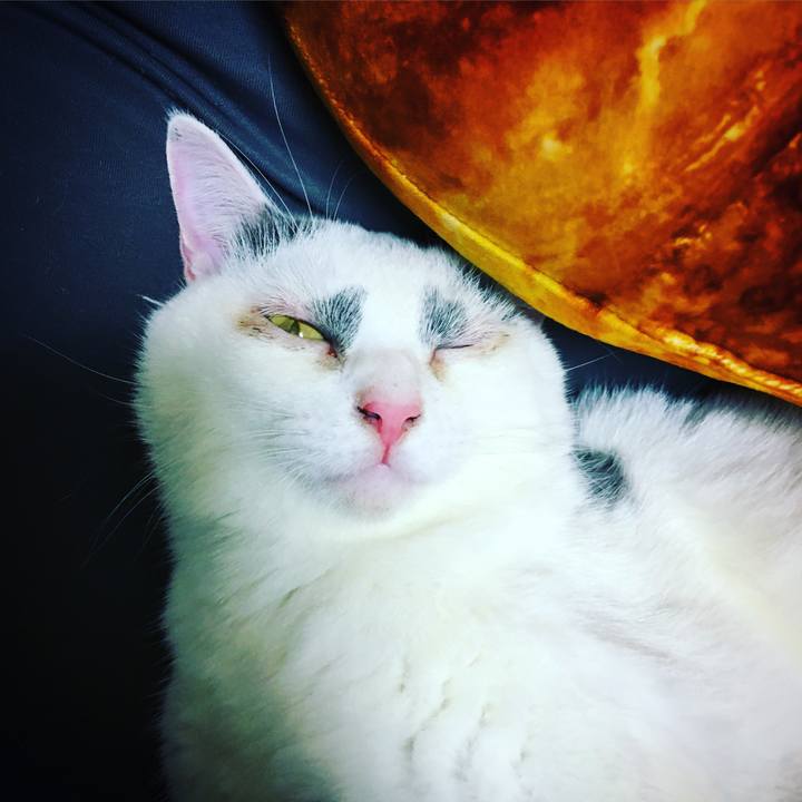 54a502e4 5c3a 4236 b1b0 2fe45408a85e