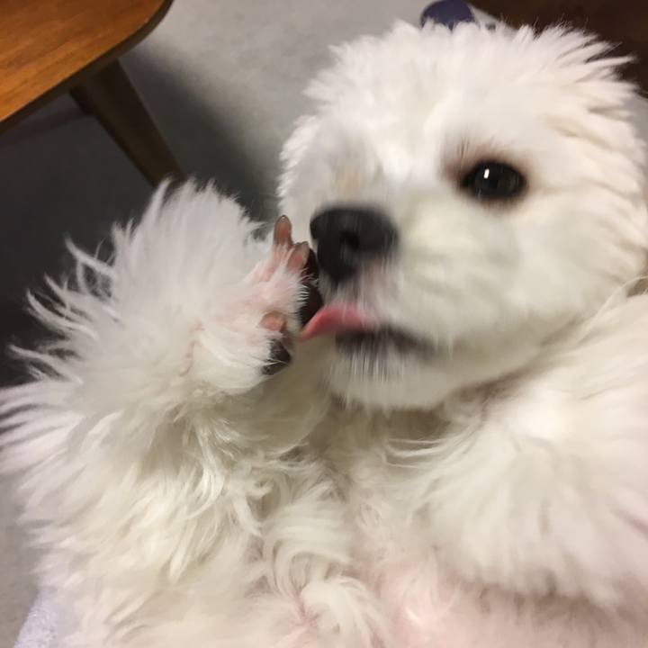 54a518c7 1026 4c85 abcf 17ee8793bf8d