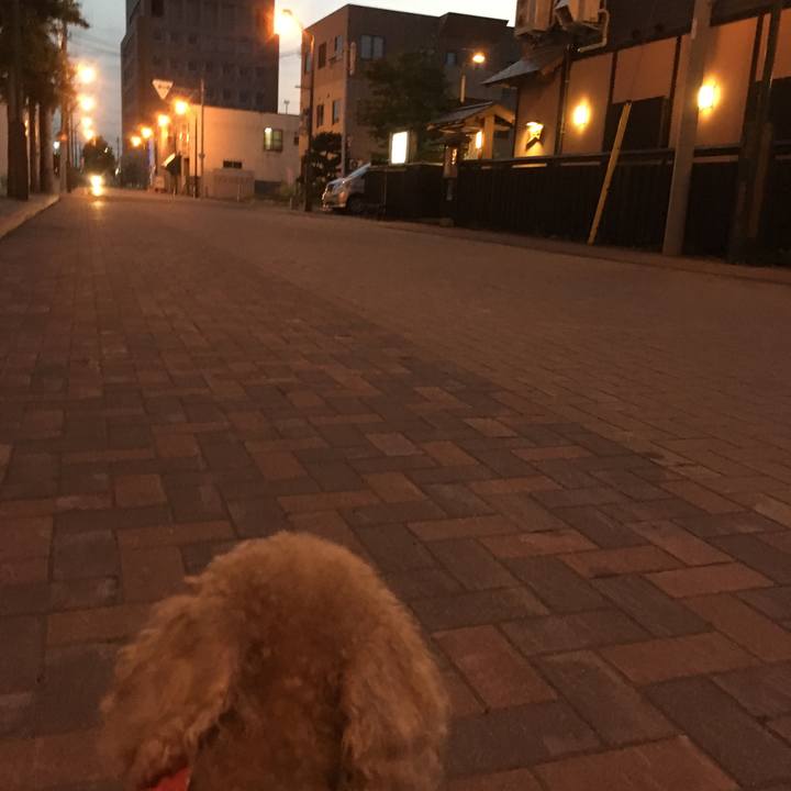 54a52b12 9173 4125 ab39 cccf996e3fbc