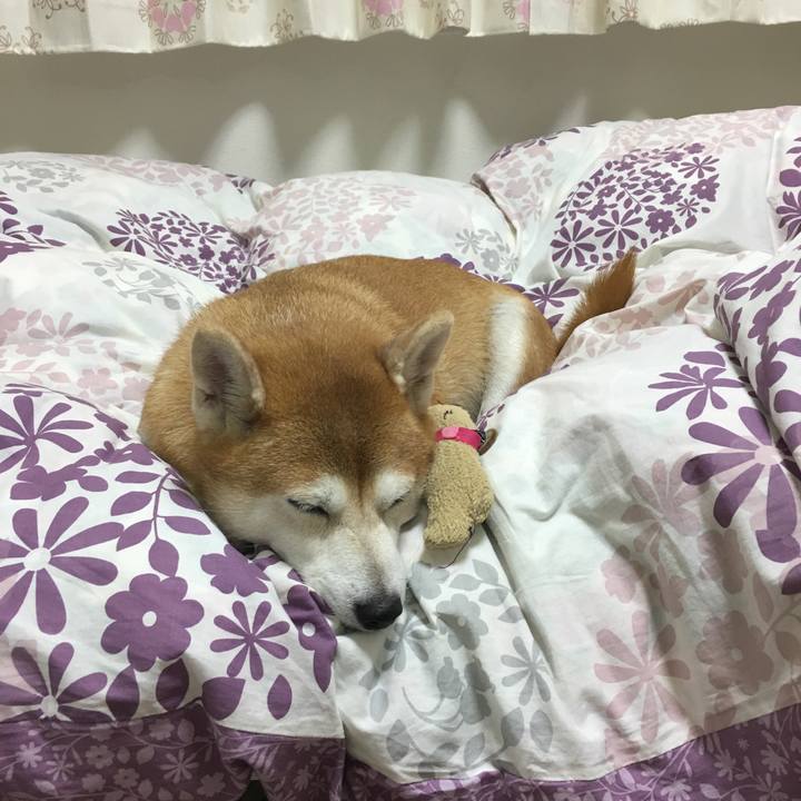 54a5b6cd 672e 41cb b220 59ae48df28bc