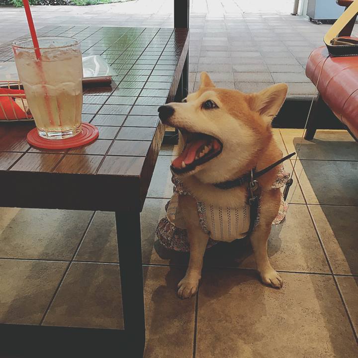 54a5bdcf 258c 4e18 bc8f ca029e50a1e2