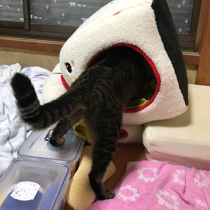 54a5cd52 b25e 413b a032 9b6715f2fb6d