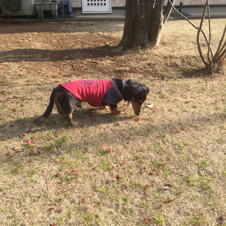 54a72ec6 a442 438b ba79 87b1b9e26460