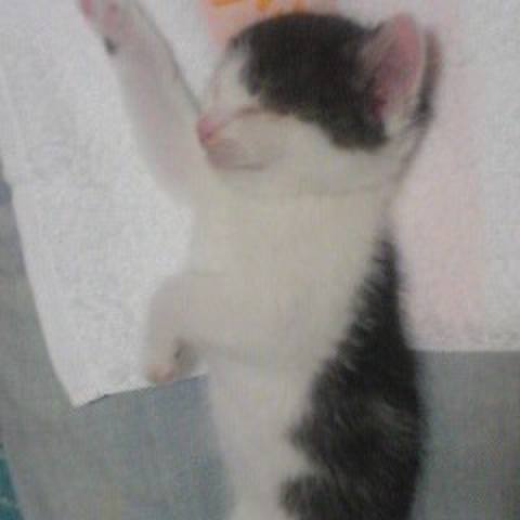 54a77219 dedb 4b62 beae fa3c09d363cc