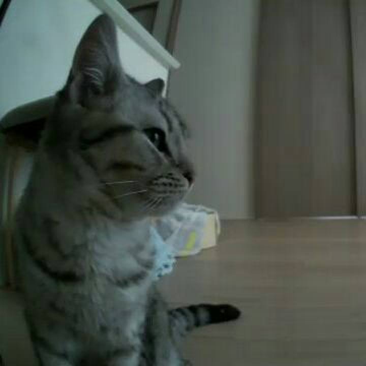 54a7b5d2 c128 4015 b6a4 9ff6b6307c68