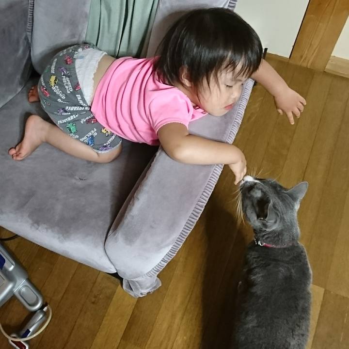 54a7d17d a4b0 4d18 a296 2dd31a3d2152