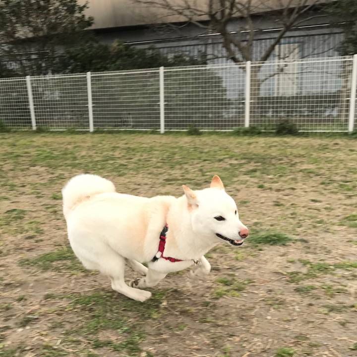 54a7d875 9fcd 4fd4 b675 6e656889e887