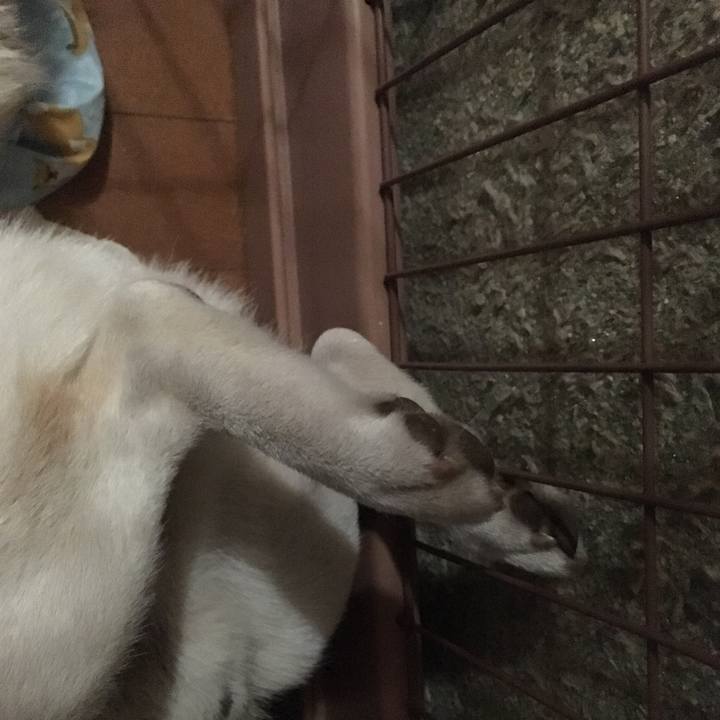 54a8213f 6562 47d6 a4fb 0cbf0a066609