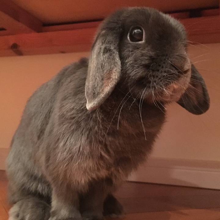 54a85376 be44 402b a3c1 819bc25e4a09