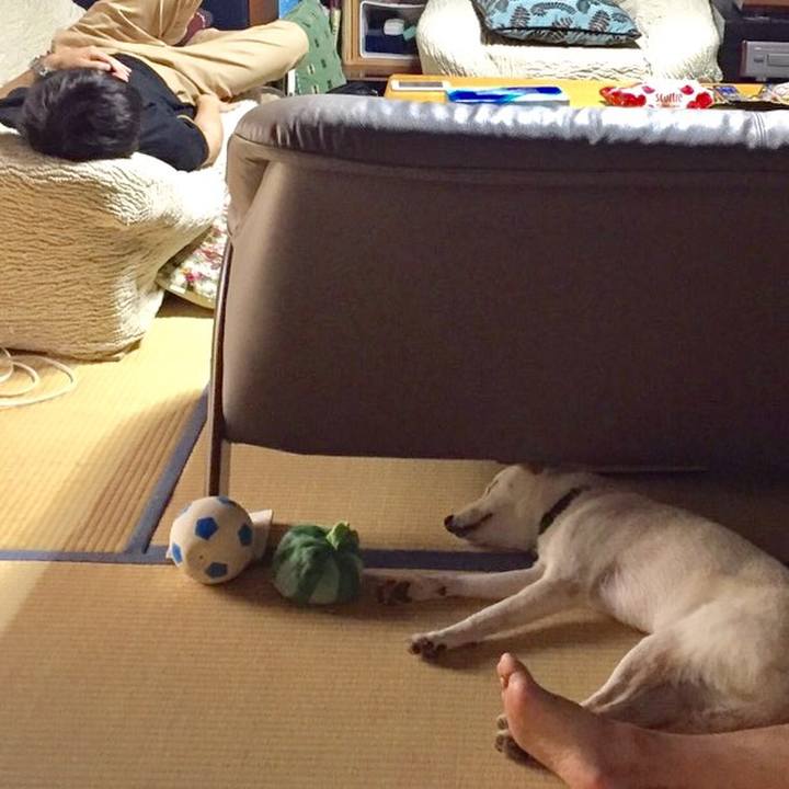 54a8800b e2e1 4ddf 9223 344228087241