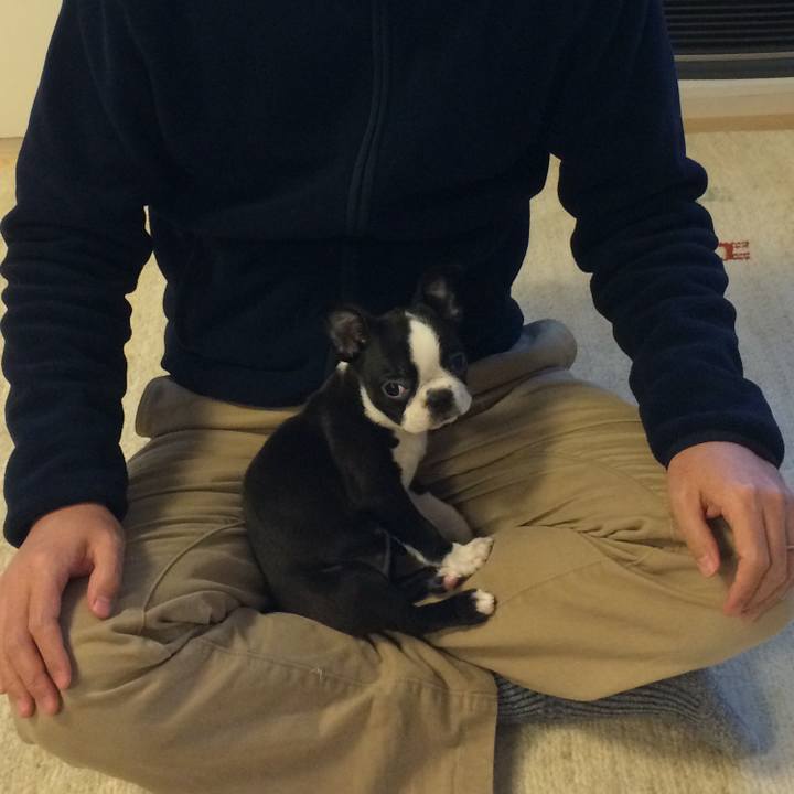 54a882de 6ca6 4f1e 9510 29a4d3fa50e1