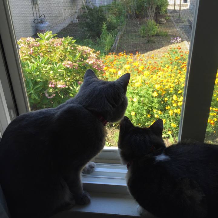 54a89495 f352 478b b7f0 1f0917dc3d9a