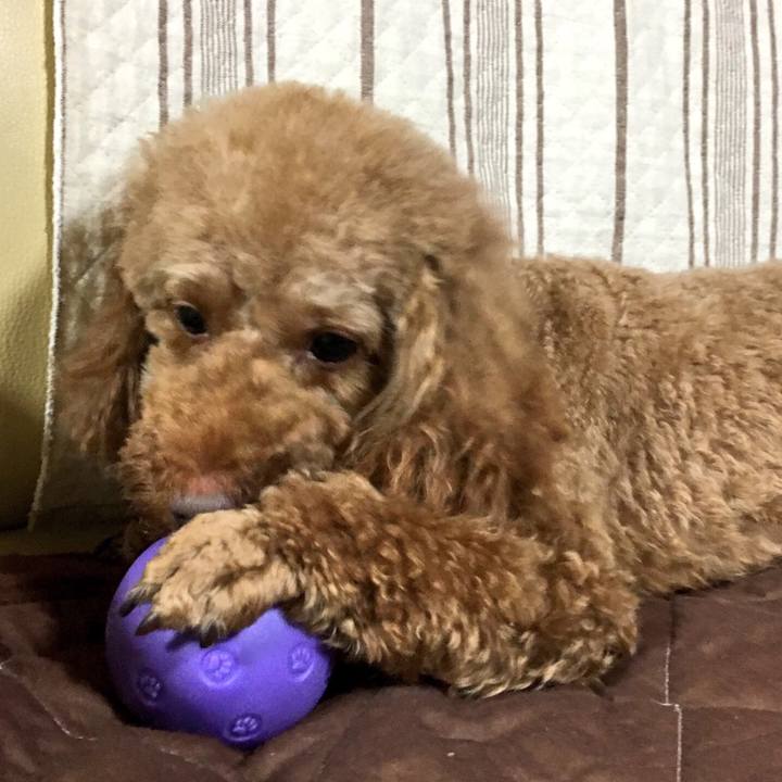 54a8d300 bc3e 4719 9d49 82c419020cb6