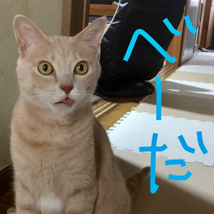 54a8e788 6dc9 4574 885d 4eb593c98b64