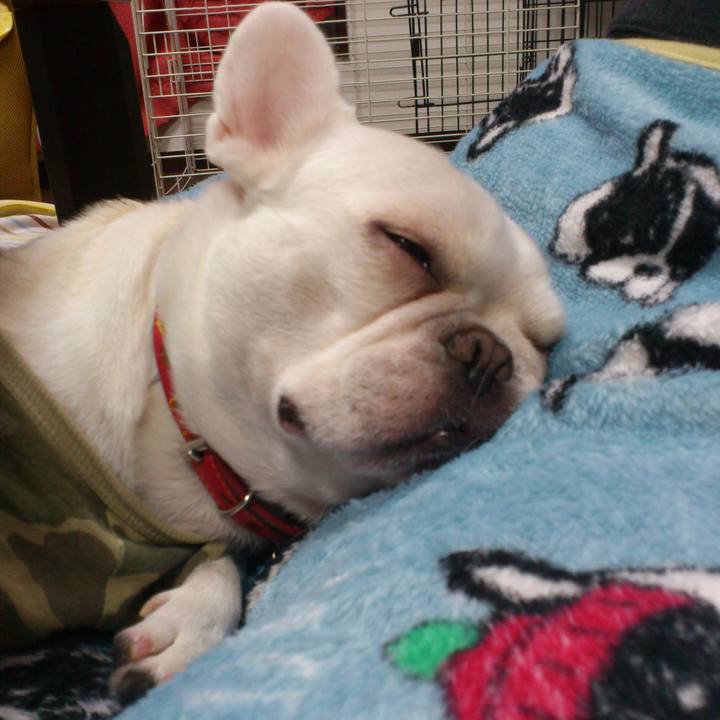 54a8ee80 e37f 46ac 82d0 e105de8b6a9c