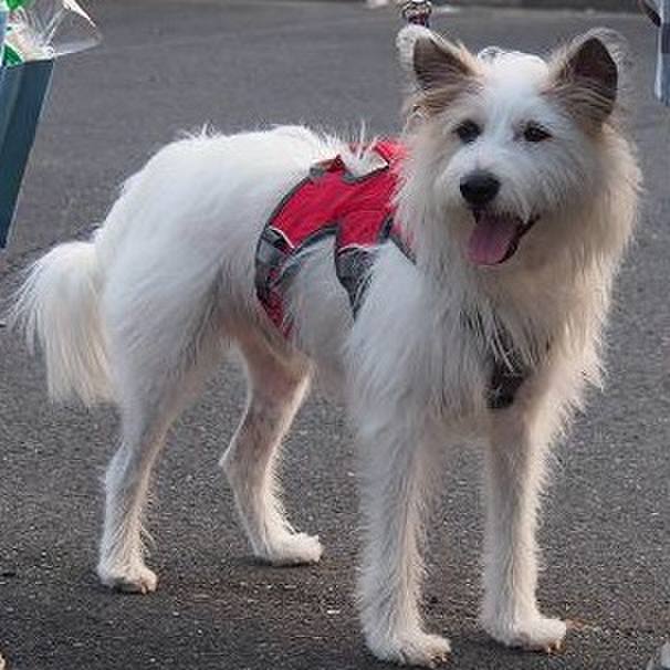 54a90bfd 4ad6 41af 917b b4266daa7953