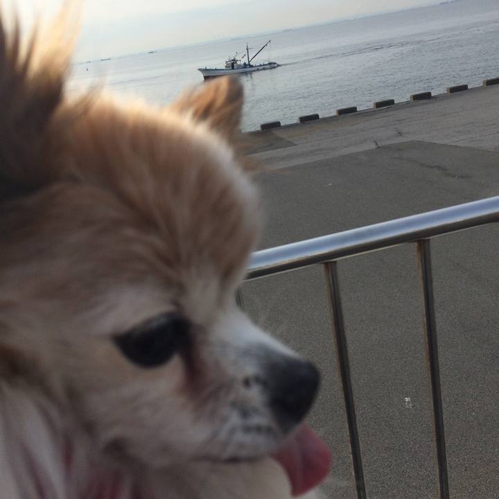 54a995f8 8df7 4772 891e 8838e9cf4899