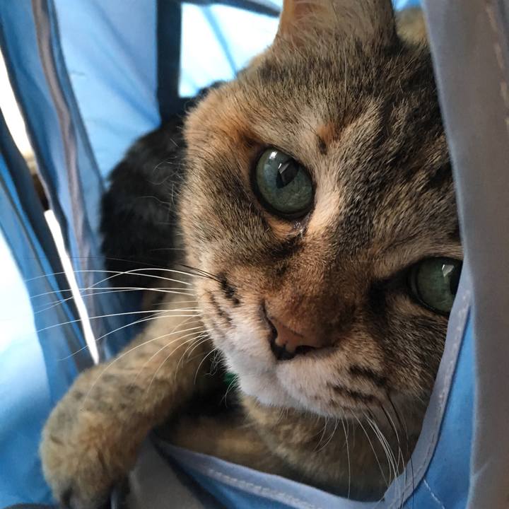 54a9ab20 0ace 43bf 9a08 1b9ea0933755