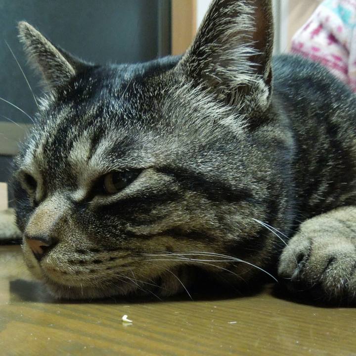 54aa5a5d bcff 4f5b 8583 e6db5541e85f