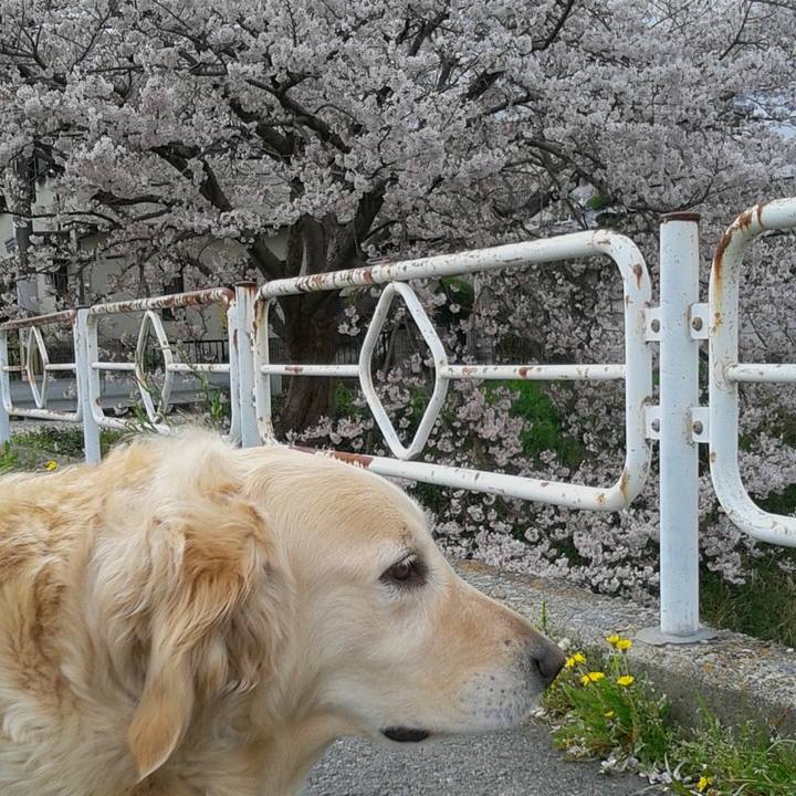 54ab32e0 7d79 4d83 9ebb 545b506ebcf9