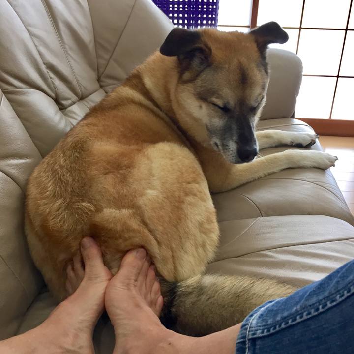 54ab4e9d 0715 45a8 8316 5f4034fff6d9