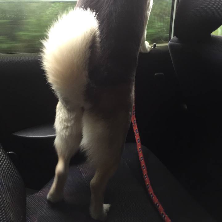 54ab7970 3d64 4082 b60e dfa72bee6baf