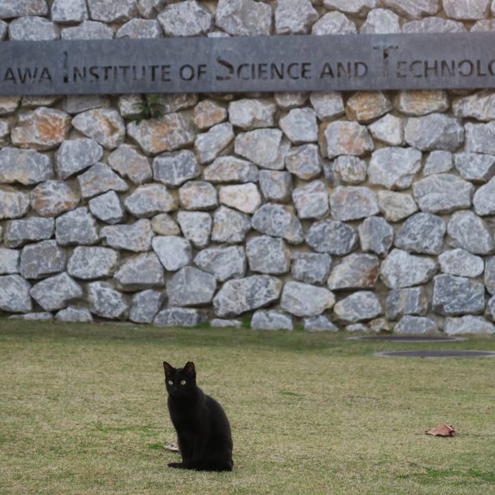 54abca64 129d 4cc0 87b3 f22149a7ea0a