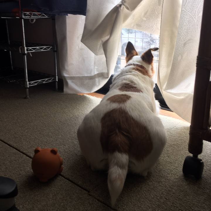 54ac369a 156d 4ba7 8505 39c490fc2f00